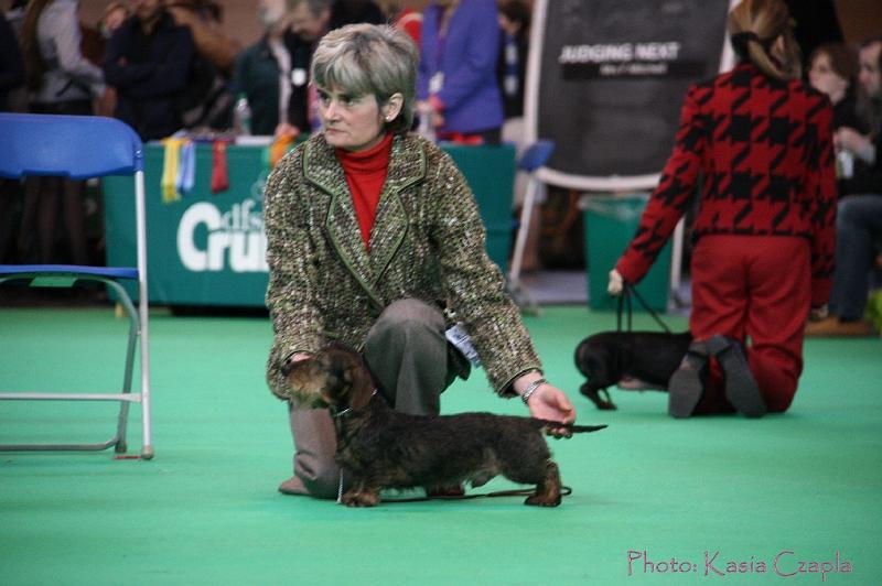 Crufts2011_2 729.jpg